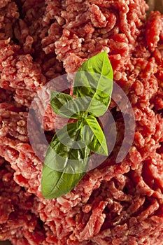 Organic Raw Grass Fed Ground Beef