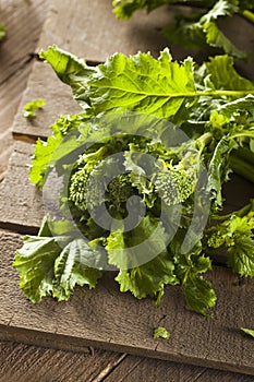 Organic Raw Green Broccoli Rabe Rapini photo