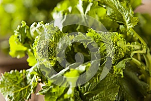 Organic Raw Green Broccoli Rabe Rapini photo