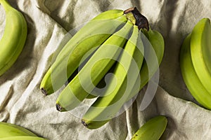 Organic Raw Green Unripe Bananas