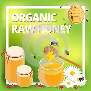 Organic raw honey concept. Honeycomb, honey ladle, honey bee, honey dipper, flowers, honey wax. Healthy food production.