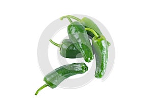 Organic Raw Padron Pepper On White Background