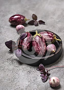Organic raw purple mini eggplants with garlic and basil on grey stone background.