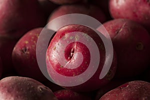 Organic Raw Red Potatoes