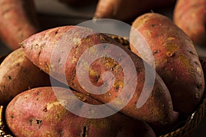 Organic Raw Sweet Potatoes