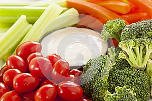 Organic Raw Vegetables with Ranch Dip