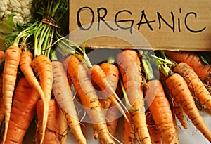 Organic , real vegetables : carrots