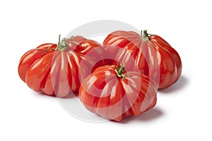 Organic Rebellion tomatoes photo