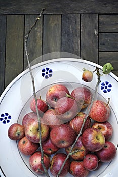 Organic Red apples photo