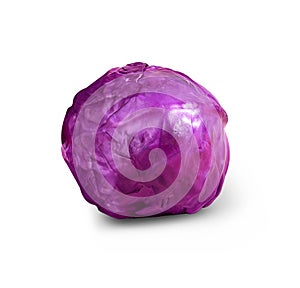 Organic red cabbage isolated on white background