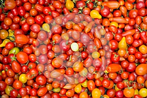 Organic red cherry tomatoes at a Farmer`s Market