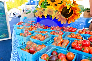 Organic red cherry tomatoes at a Farmer`s Market