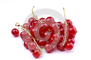 Organic Red Currants