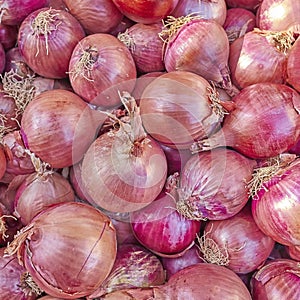 Organic red dry onions closeup