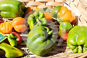 Organic red green and yellow peppers at a small farmers market