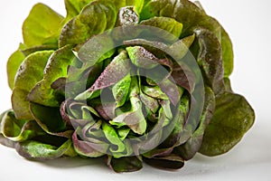 Organic Red Oakleaf lettuce