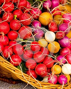 Organic Red, Orange, White and Purple Radish