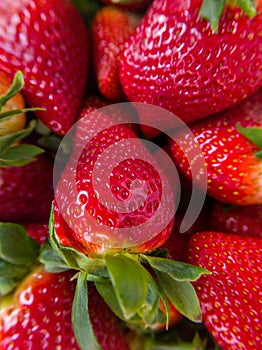 organic red strawberries organic healthy food photo