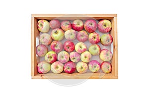 Organic red striped apple fruits in the box isolated on white. Tranparent png additional format