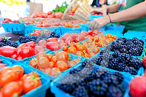 Organic red tomatoes at a Farmer`s Market