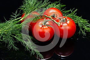 Organic Red Tomatoes on the vine and fresh Dill isolated on a black mirror background