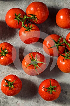 Organic Red Vine Ripened Tomatoes