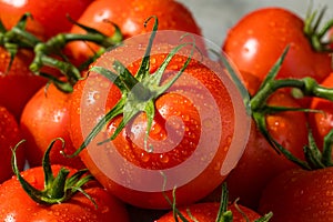 Organic Red Vine Ripened Tomatoes