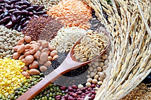 Organic rice seeds in wooden spoon on colorful cereal pile background