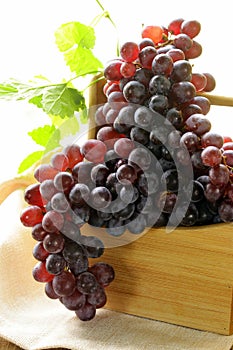 Organic ripe black grapes