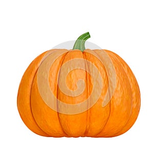 Organic ripe orange pumpkin with green stem isolated on white background front view