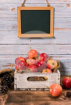 Organic ripe red apples in wooden box. Fall harvest cornucopia in autumn season. Fresh fruit with background