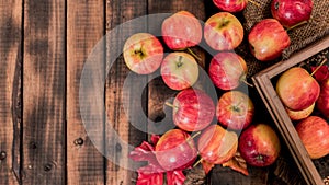 Organic ripe red apples in wooden box. Fall harvest cornucopia in autumn season. Fresh fruit with wood table