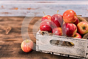 Organic ripe red apples in wooden box. Fall harvest cornucopia in autumn season. Fresh fruit with wood table