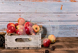 Organic ripe red apples in wooden box. Fall harvest cornucopia in autumn season. Fresh fruit with wood table