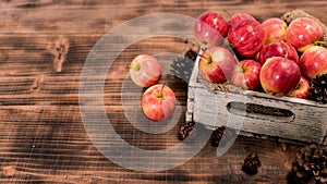 Organic ripe red apples in wooden box. Fall harvest cornucopia in autumn season. Fresh fruit with wood table