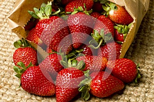 Organic ripe red strawberries in a bag