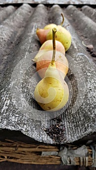 Organic ripe yellow pears closeup on eternit roof