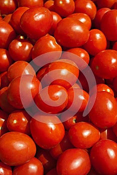 Organic Roma Tomatoes