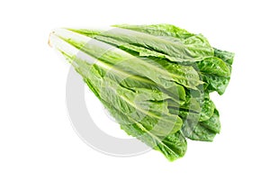 Organic Romaine Lettuce On White Background