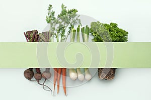 Organic root vegetables and herbs