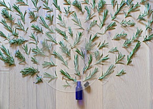 organic rosemary essential oil to explode from blue glass bottle