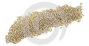 Organic rye grains isolated on white background, top view. Healthy grains and cereals