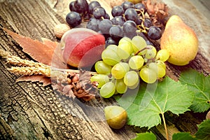 Organic seasonal food, healthy eating - autumn fruit on rustic wooden table