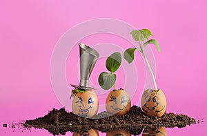 Organic seedling plants in funny Easter Eggs, smiling faces with