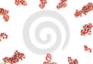 Organic Shepherdia berries background border. Food frame