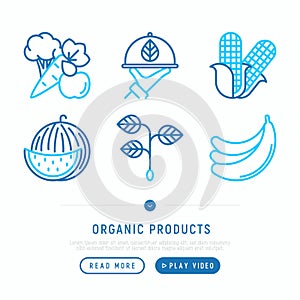 Organic shop thin line icons set
