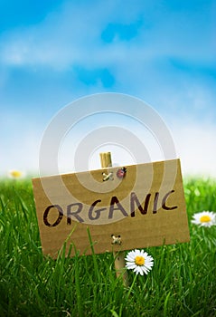 Organic Sign, Natural Land