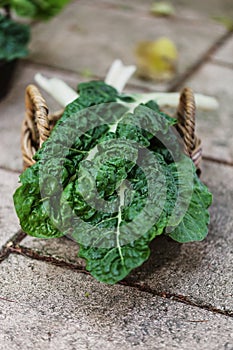 Organic silverbeet on a basket