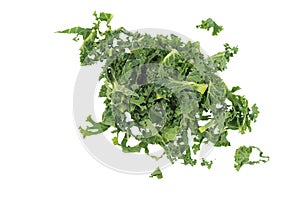 Organic Sliced Kale On White Background