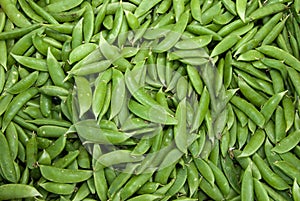 Organic Snow Peas